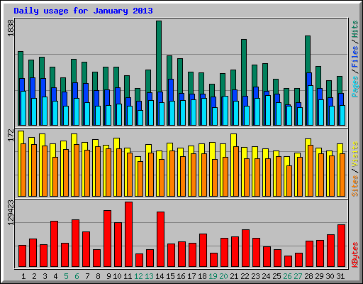 Daily usage for January 2013