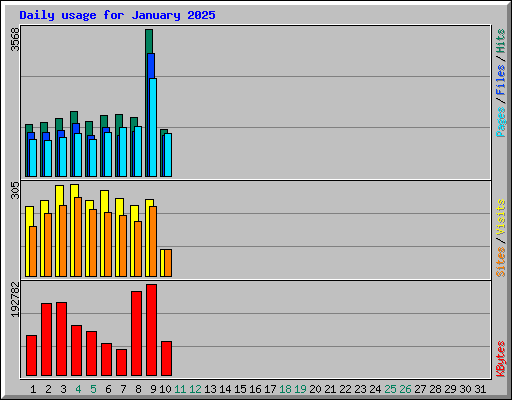 Daily usage for January 2025