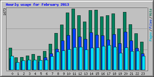 Hourly usage for February 2013