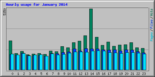 Hourly usage for January 2014