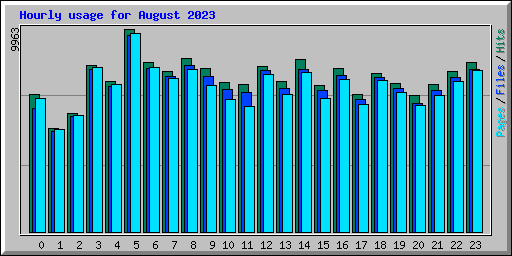 Hourly usage for August 2023