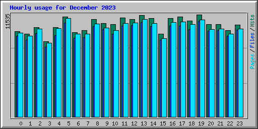 Hourly usage for December 2023