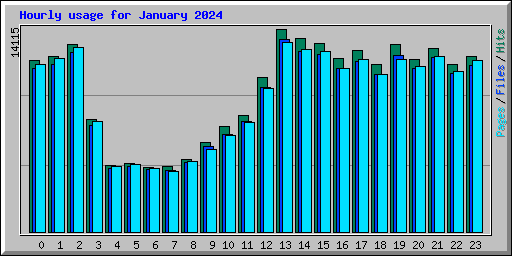 Hourly usage for January 2024