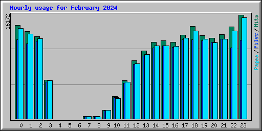 Hourly usage for February 2024