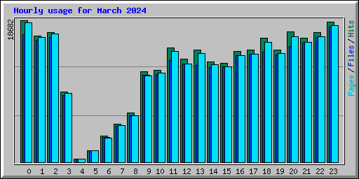 Hourly usage for March 2024