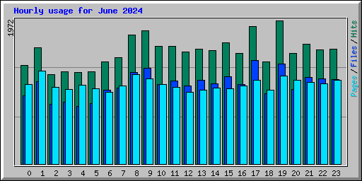 Hourly usage for June 2024