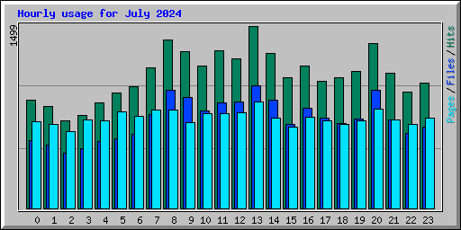 Hourly usage for July 2024