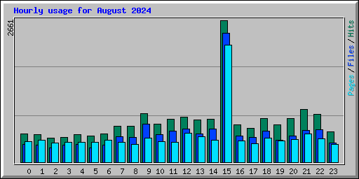 Hourly usage for August 2024