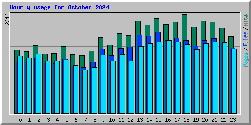 Hourly usage for October 2024