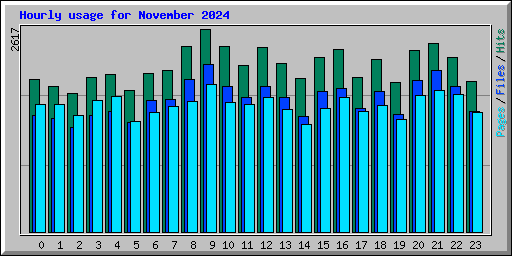 Hourly usage for November 2024