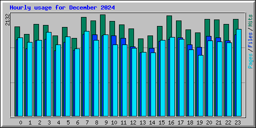 Hourly usage for December 2024