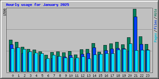 Hourly usage for January 2025